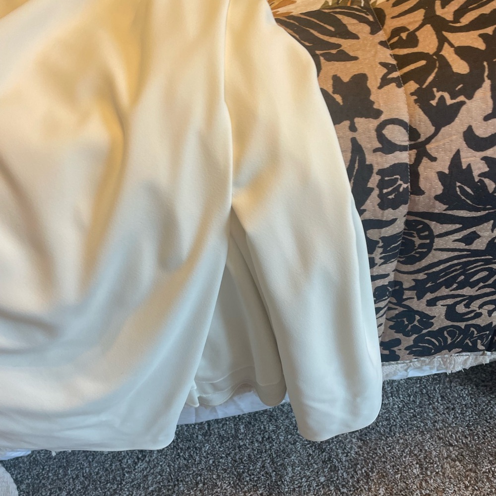 Express Dress - Picture 3 of 3